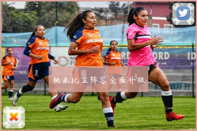 纳米比亚阵容全面升级