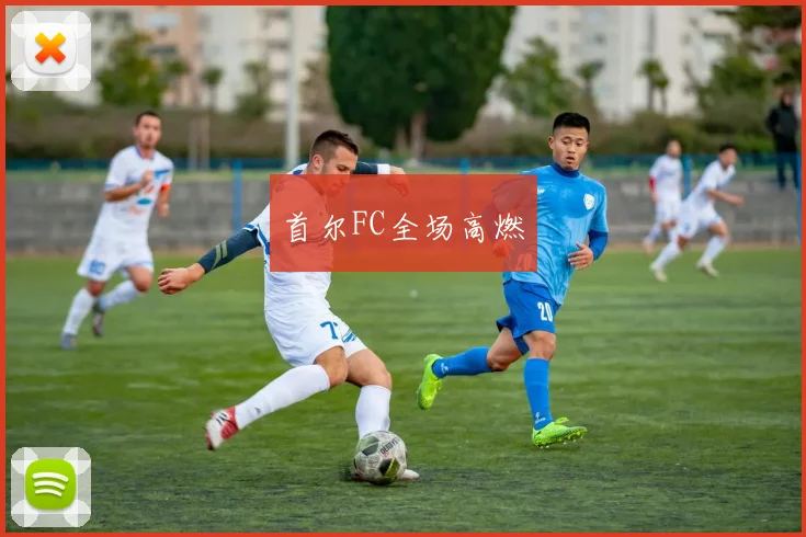 首尔FC全场高燃