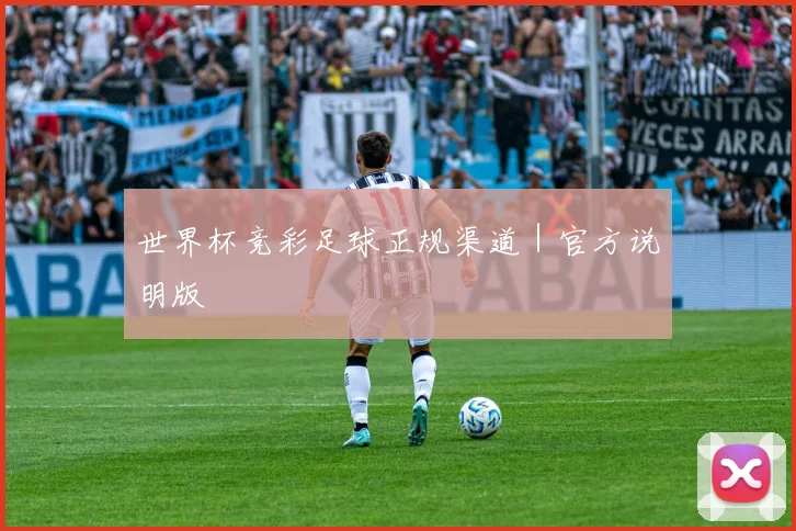 世界杯竞彩足球正规渠道｜官方说明版