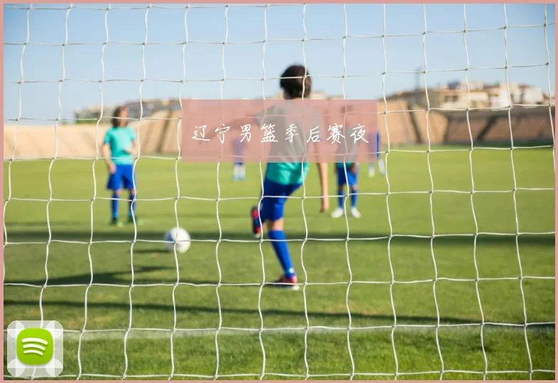 辽宁男篮季后赛夜
