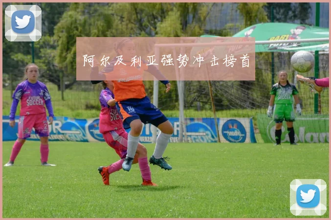 阿尔及利亚强势冲击榜首