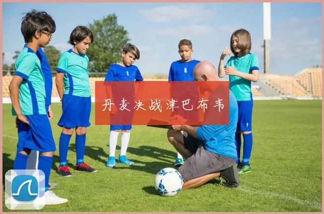 丹麦决战津巴布韦