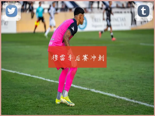 穆雷季后赛冲刺