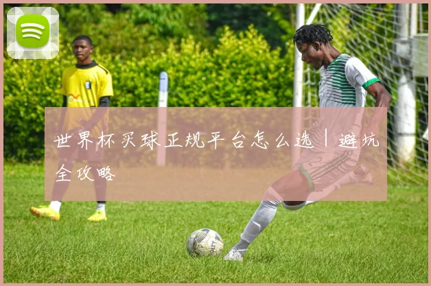 世界杯买球正规平台怎么选｜避坑全攻略