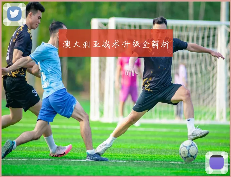 澳大利亚战术升级全解析