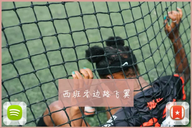 西班牙边路飞翼