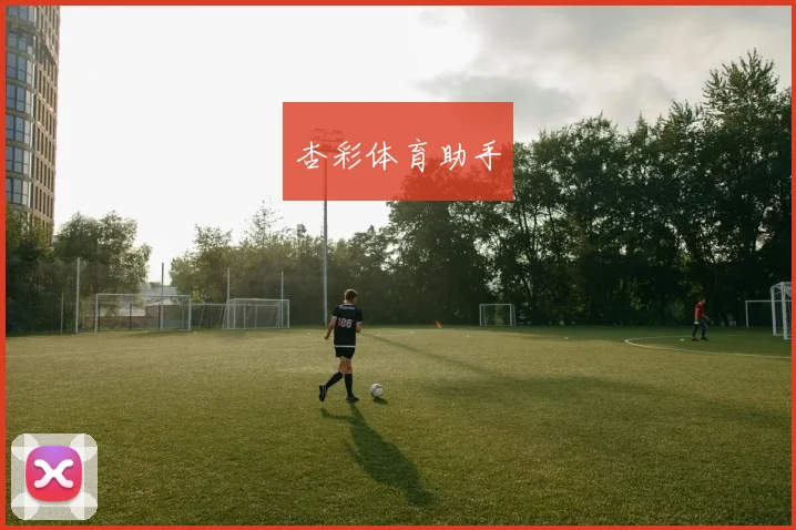 杏彩体育助手