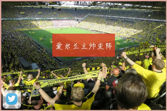 爱尔兰主帅变阵