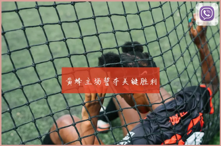 黄蜂主场誓夺关键胜利