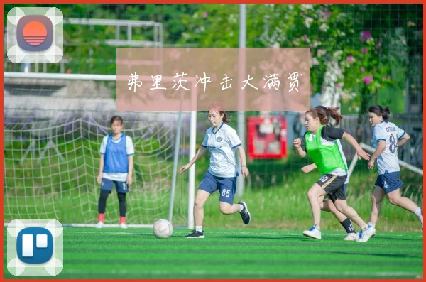 弗里茨冲击大满贯