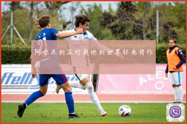 阿尔及利亚对奥地利世界杯老将作用