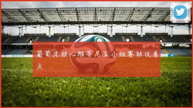 葡萄牙核心维蒂尼亚小组赛助攻看点