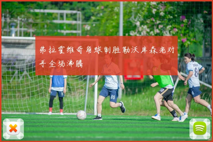 弗拉霍维奇角球制胜勒沃库森老对手全场沸腾