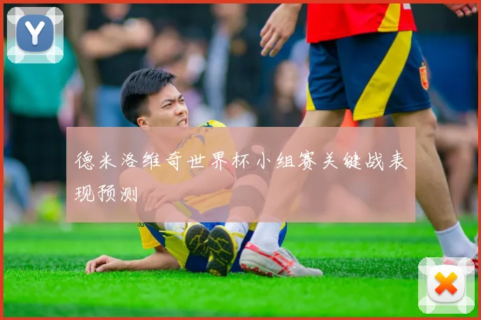德米洛维奇世界杯小组赛关键战表现预测
