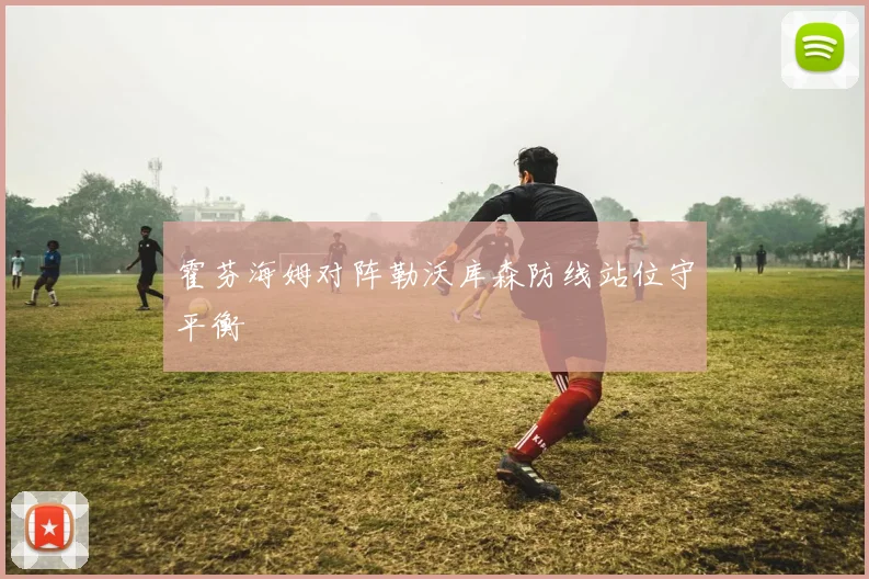 霍芬海姆对阵勒沃库森防线站位守平衡