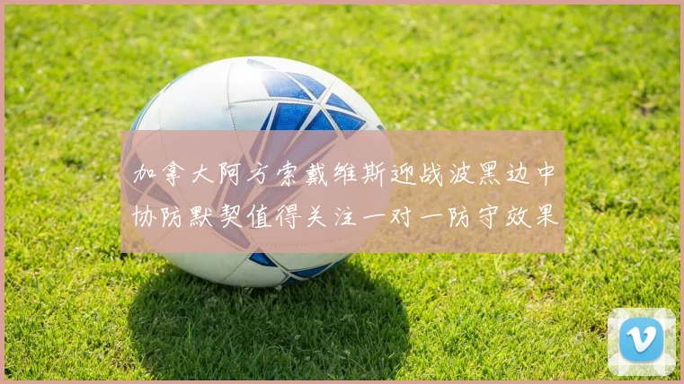 加拿大阿方索戴维斯迎战波黑边中协防默契值得关注一对一防守效果