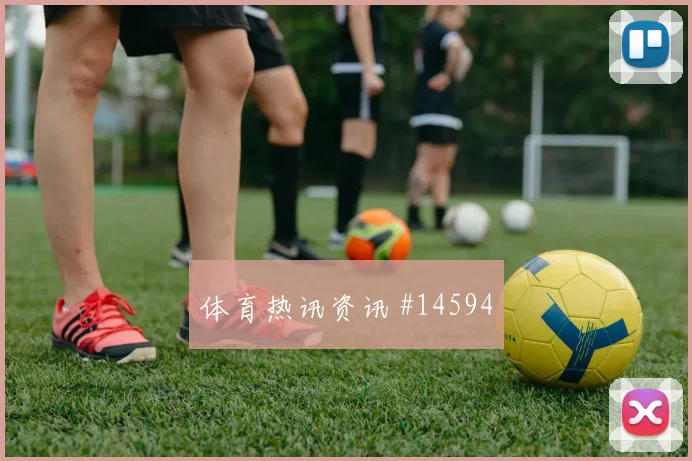 德米罗维奇对阵瑞士队小组赛禁区跑位赛前分析